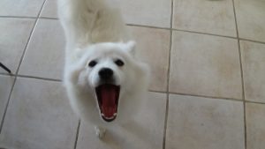 DSC02504