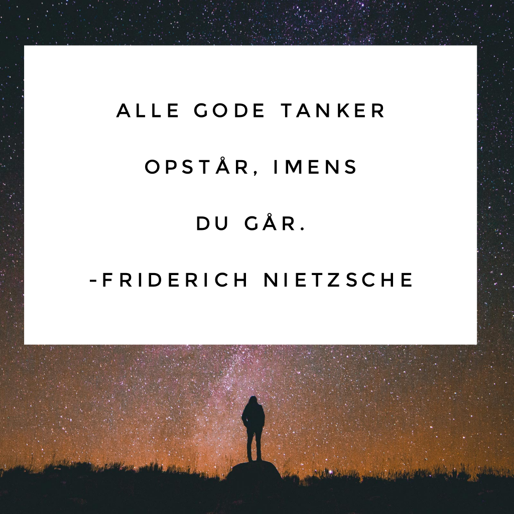 Citat Nietzsche