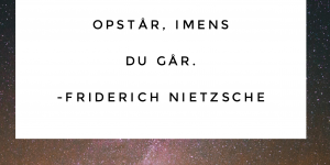 Citat Nietzsche