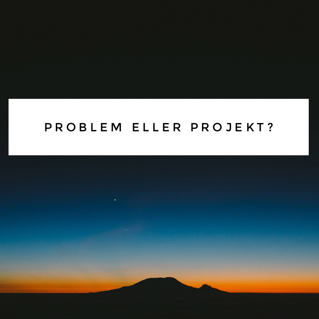 Problem eller projekt