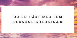De fem personlighedstræk