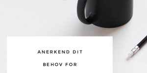 Du har behov for tryghed