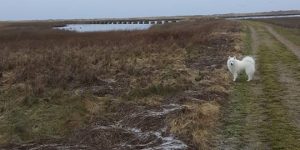 Når livet gør ondt, og du bare må gå videre