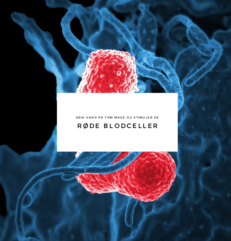 wordswag_1551095031998