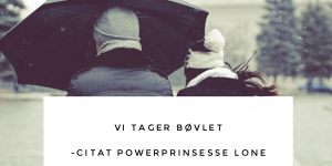 Vi tager bøvlet