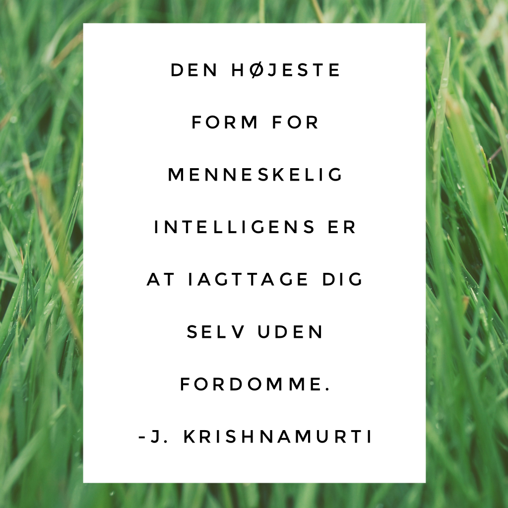 Ingen fordomme