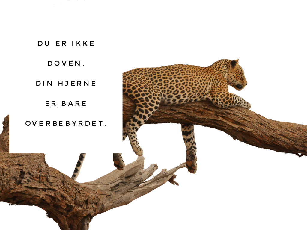 DuErIkkeDoven