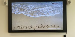 Kursus: Mindfulness i arbejdslivet - trods travlhed